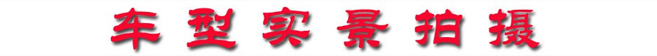 車型實景